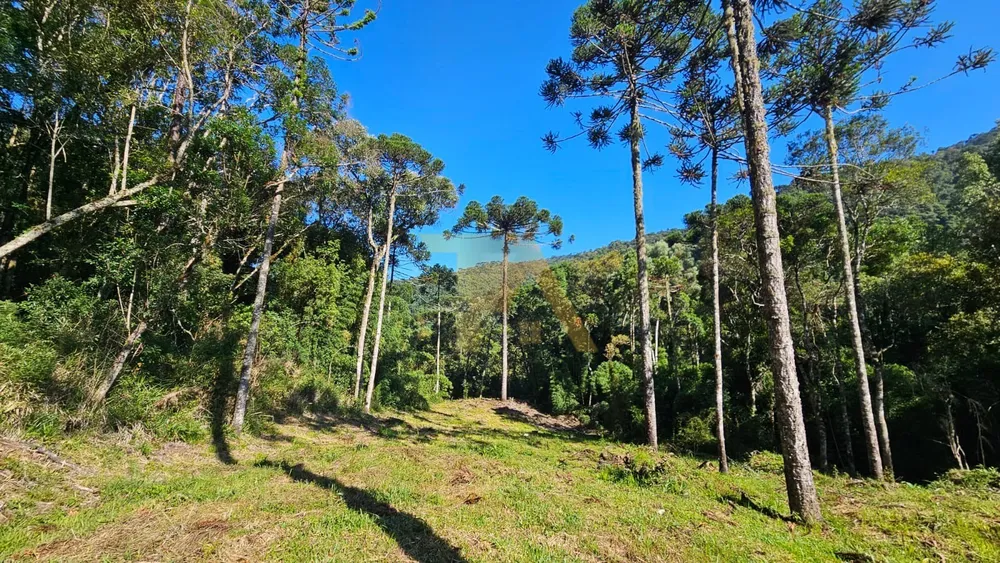 Terreno - Foto 2