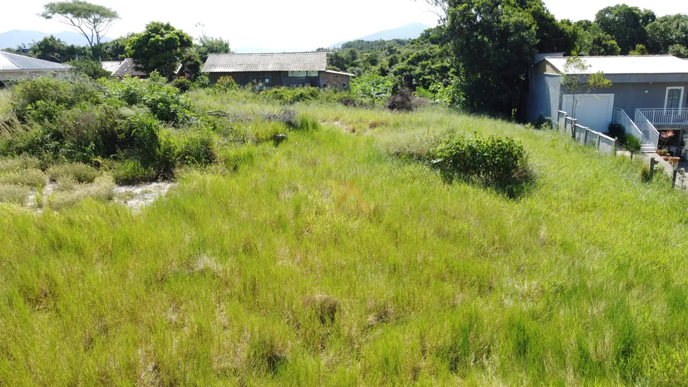 Terreno, 800 m² - Foto 2