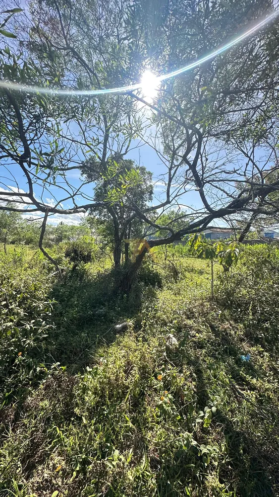 Terreno, 360 m² - Foto 6