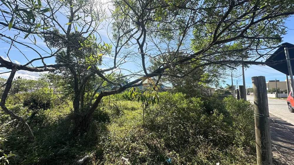 Terreno, 360 m² - Foto 5