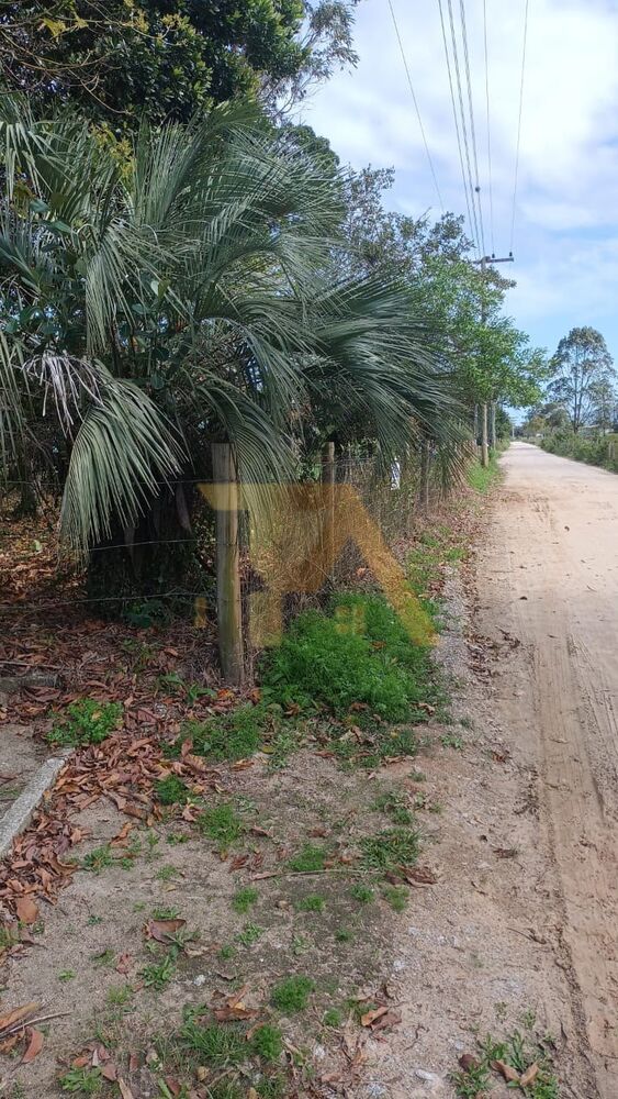 Terreno, 300 m² - Foto 6