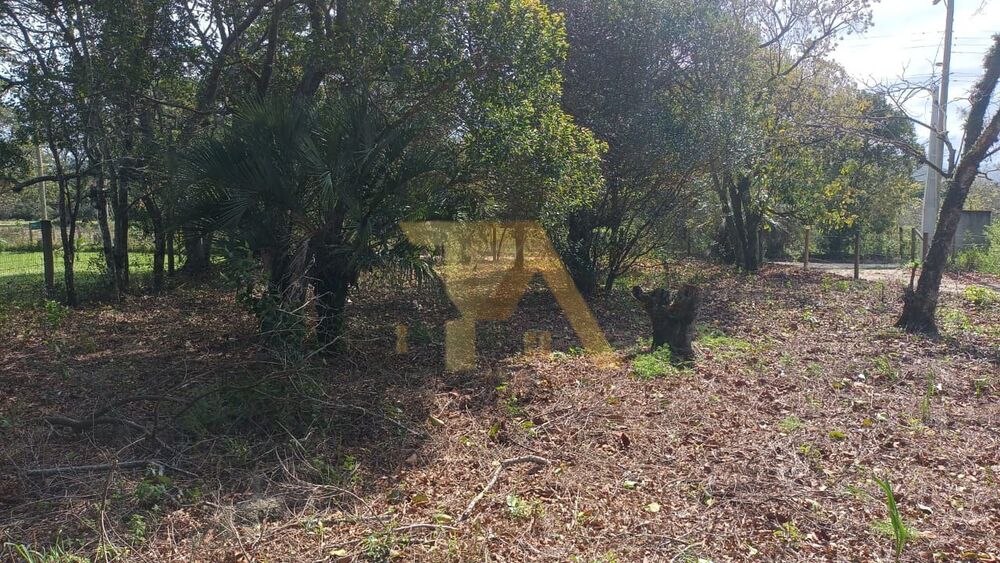 Terreno, 300 m² - Foto 2