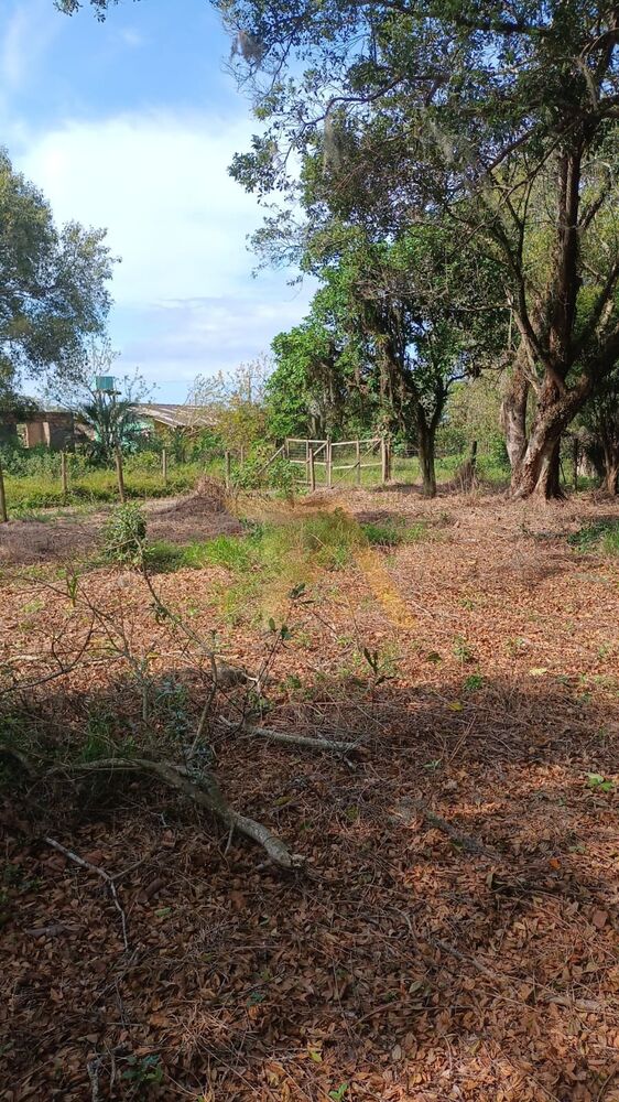 Terreno, 300 m² - Foto 10