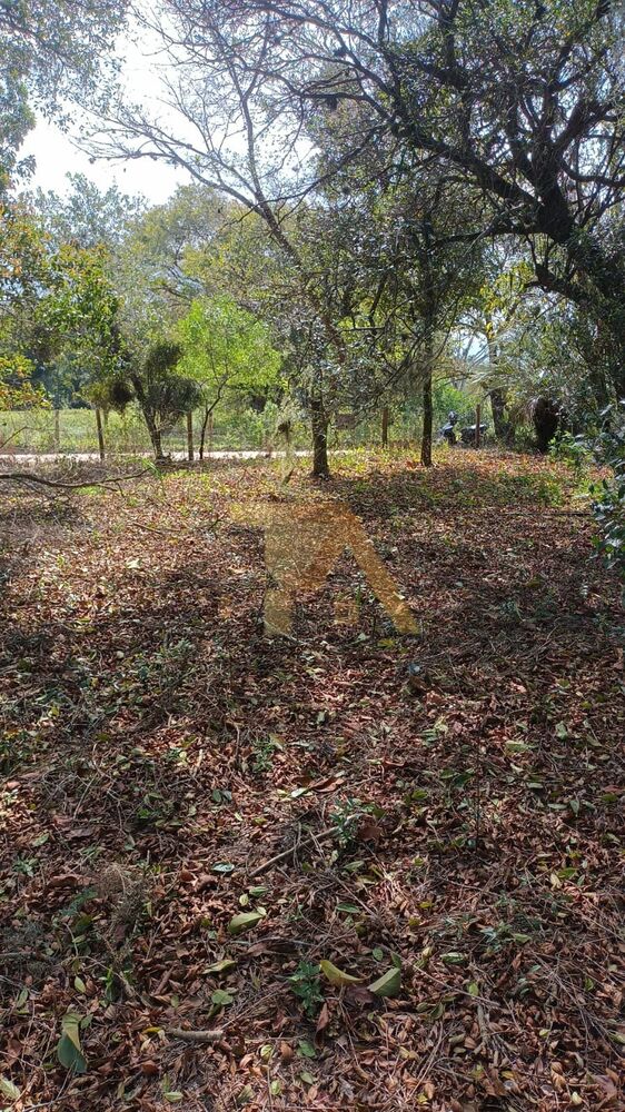 Terreno, 300 m² - Foto 11