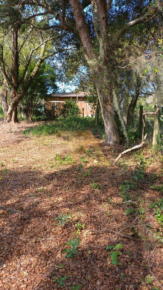 Terreno, 300 m² - Foto 9