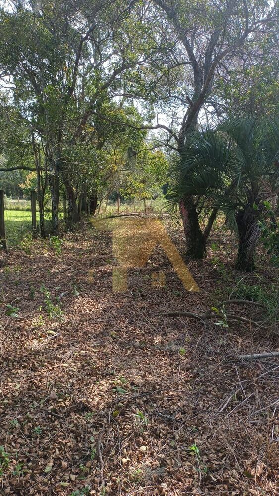 Terreno, 300 m² - Foto 7