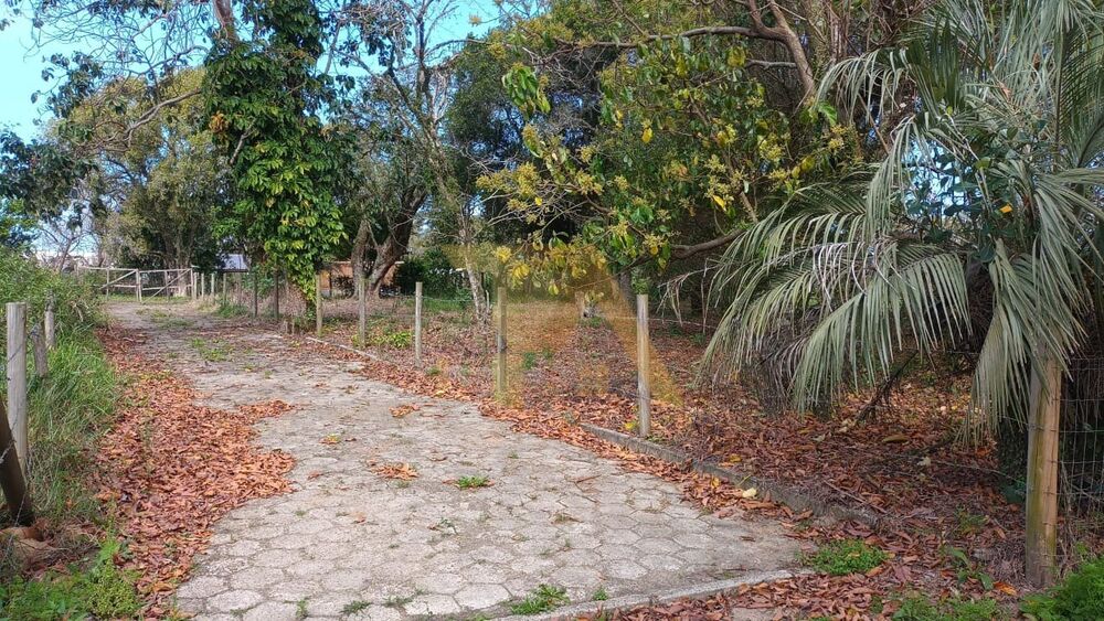 Terreno, 300 m² - Foto 3