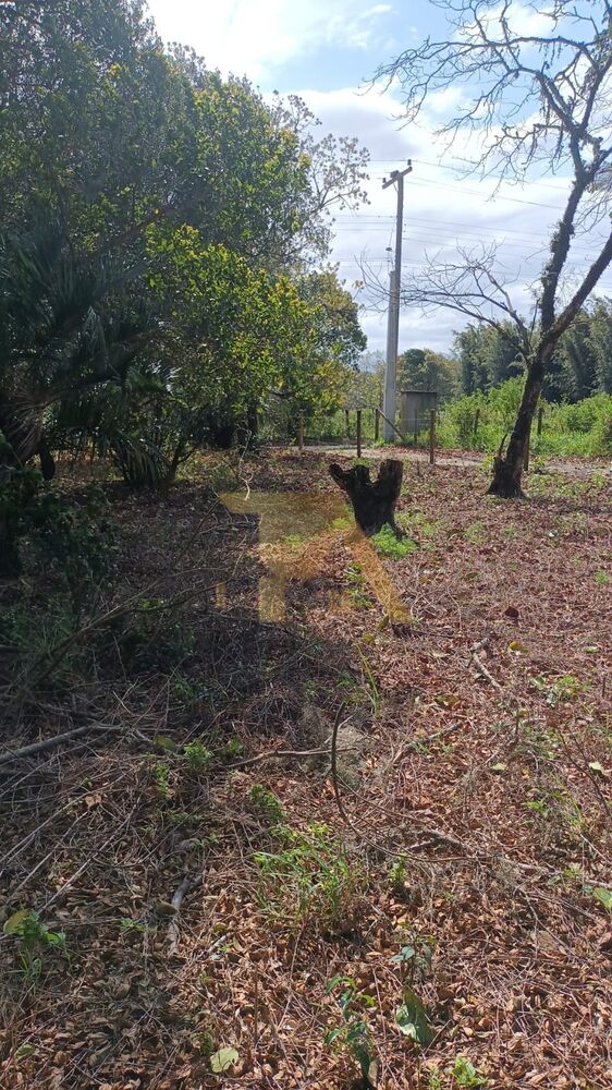 Terreno, 300 m² - Foto 8