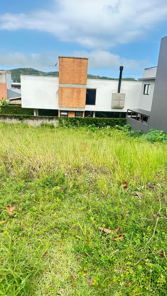 Terreno, 299 m² - Foto 3