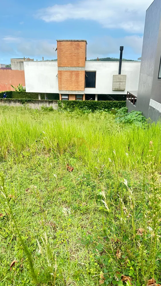 Terreno, 299 m² - Foto 2