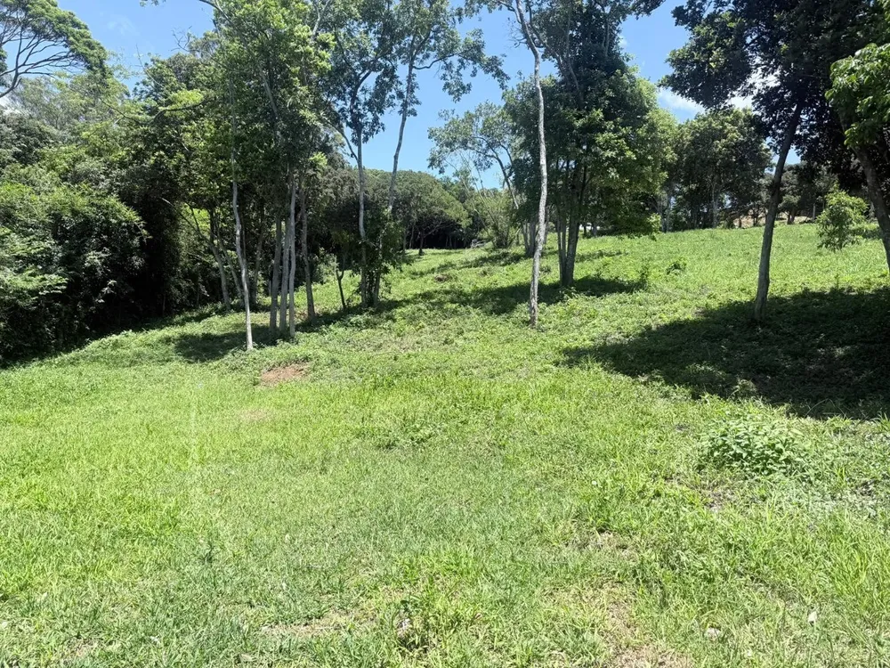 Terreno, 6 m² - Foto 3