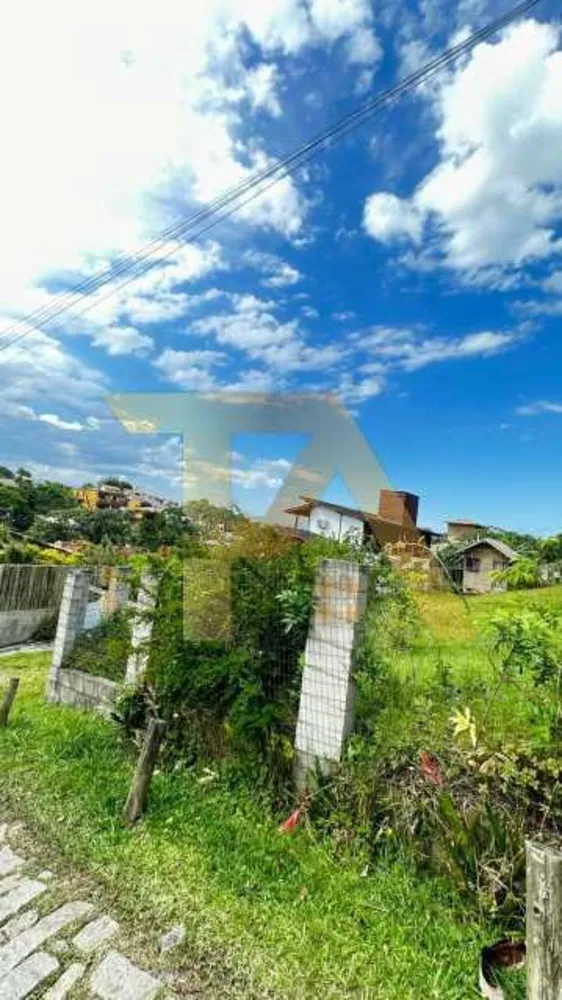 Terreno, 544 m² - Foto 5