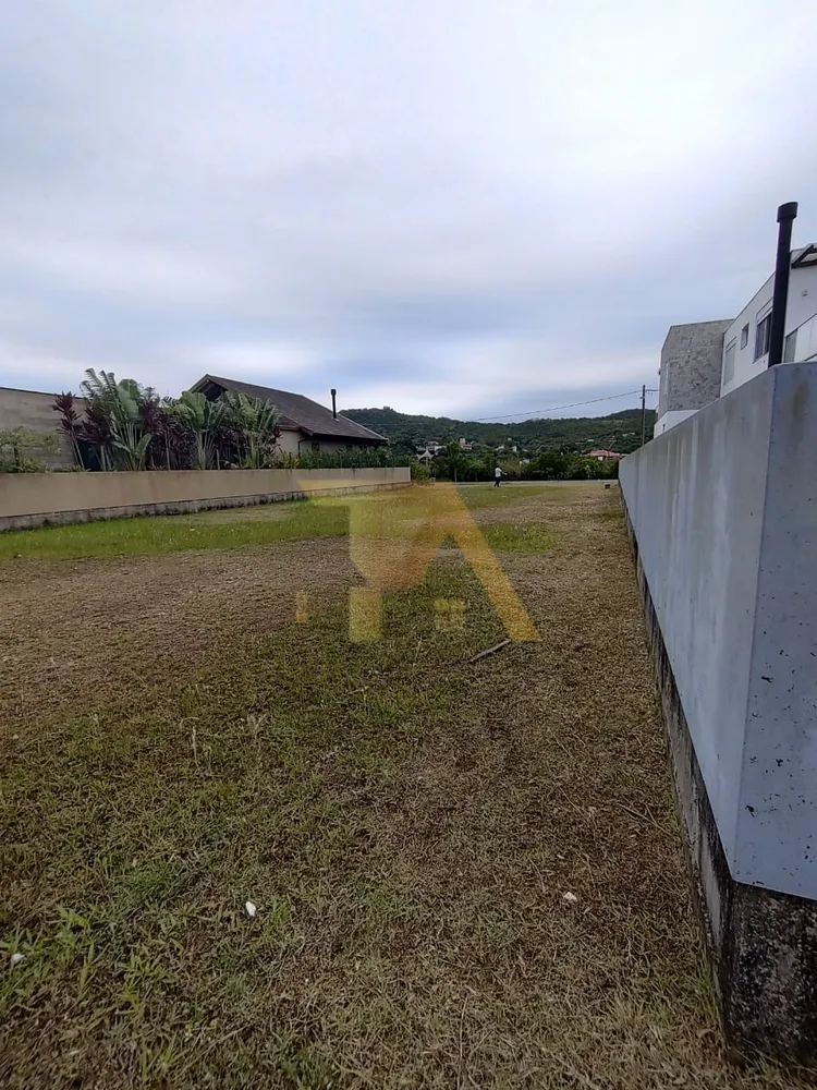 Terreno, 600 m² - Foto 5