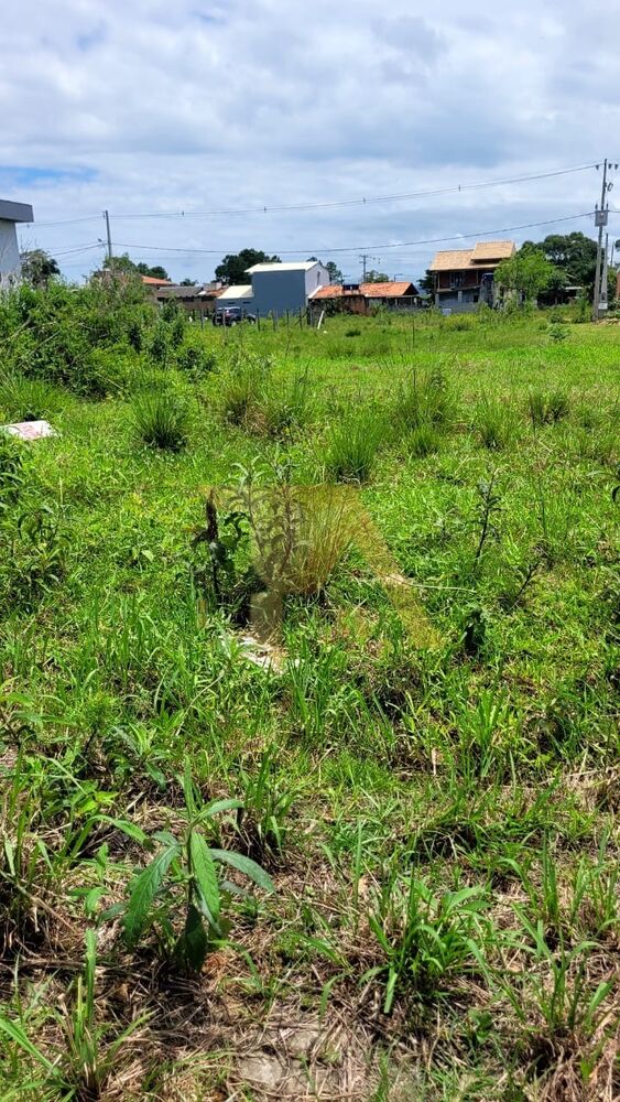 Terreno, 359 m² - Foto 6