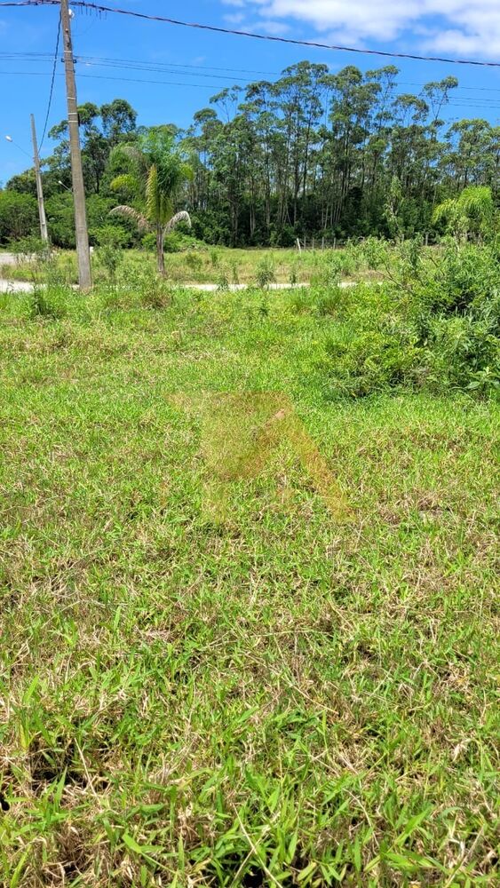 Terreno, 359 m² - Foto 4