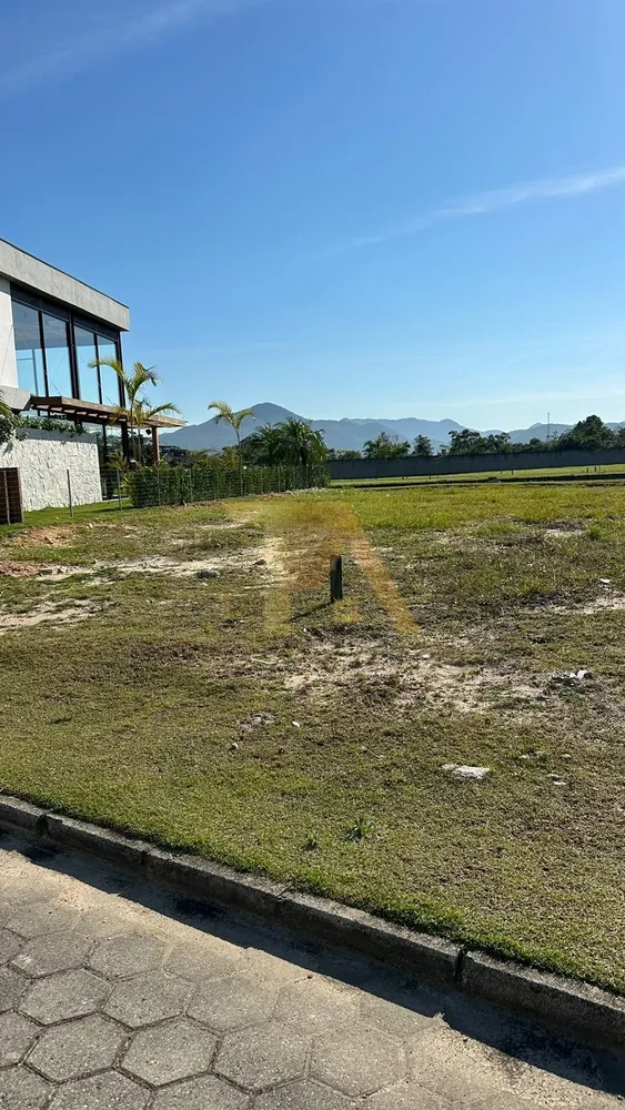 Terreno, 604 m² - Foto 5