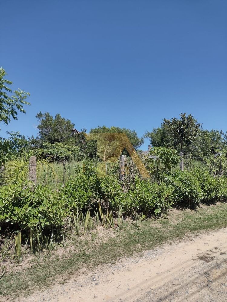 Terreno, 318 m² - Foto 9