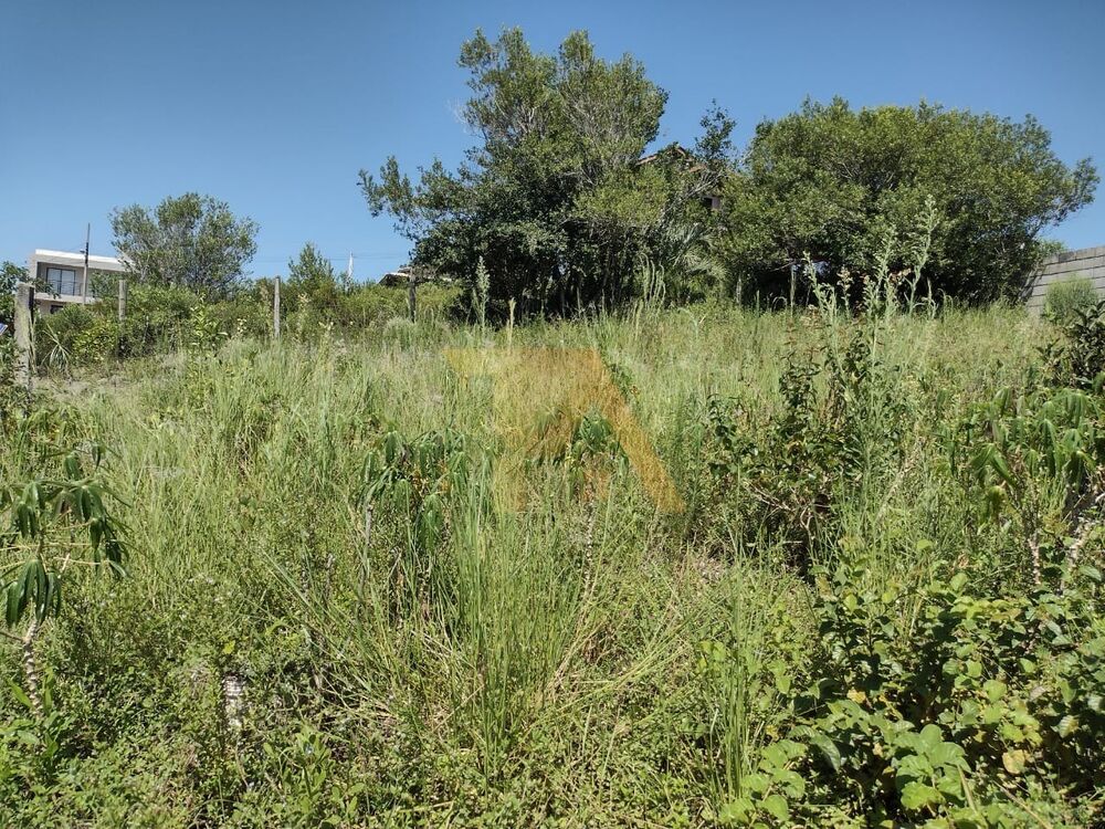 Terreno, 318 m² - Foto 1
