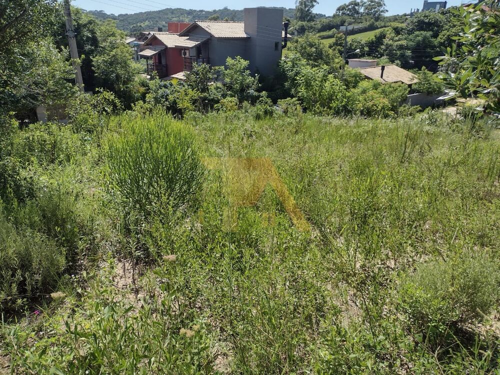 Terreno, 318 m² - Foto 3