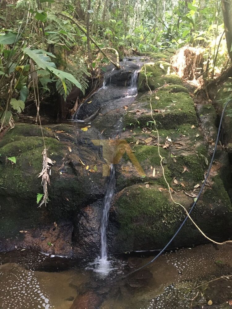 Sítio, 15 m² - Foto 11