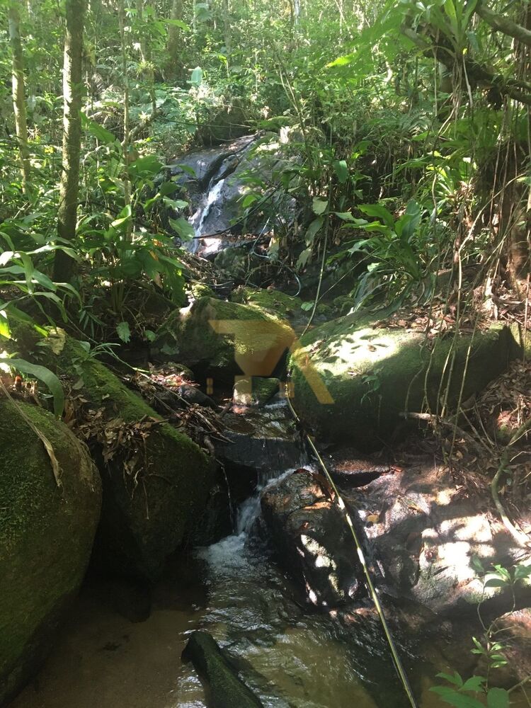 Sítio, 15 m² - Foto 4