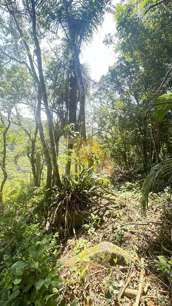 Terreno, 10000 m² - Foto 7