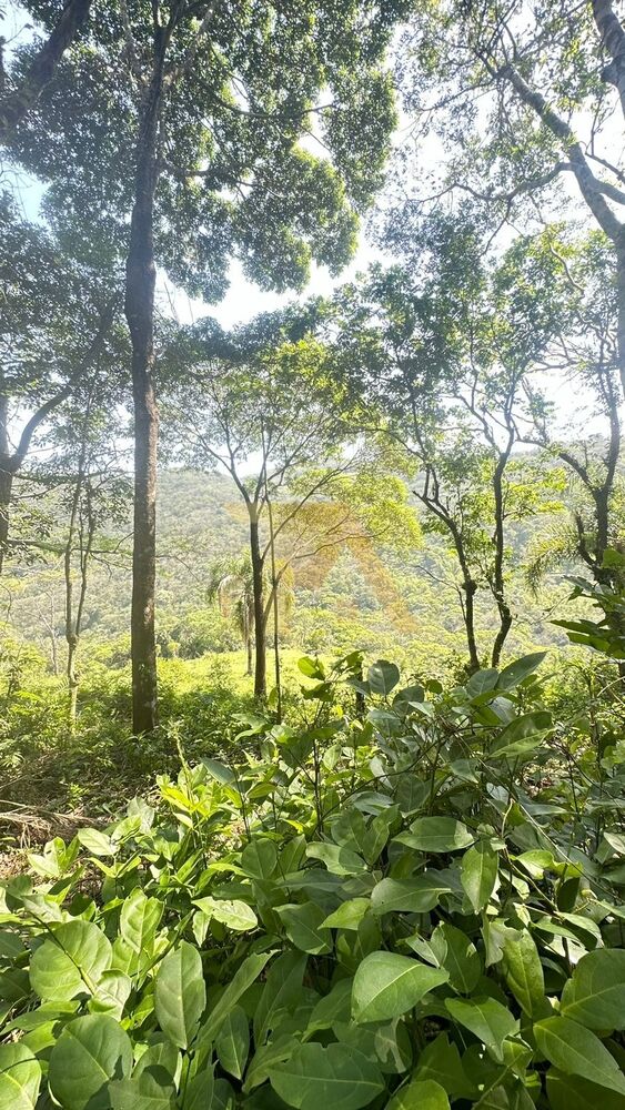 Terreno, 10000 m² - Foto 3