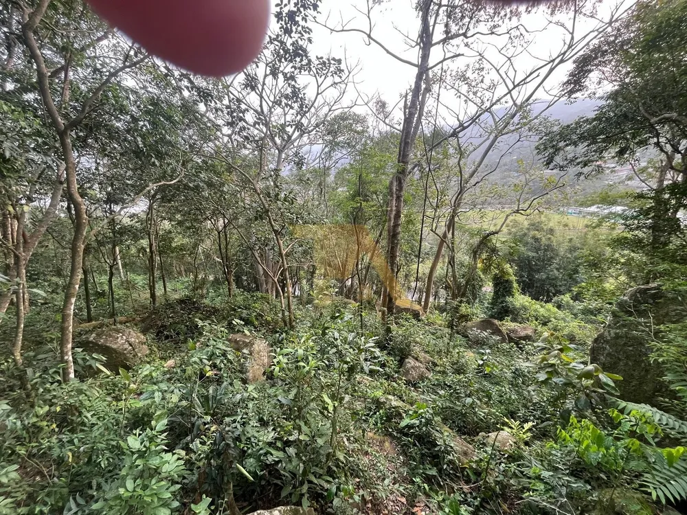 Terreno, 1000 m² - Foto 2