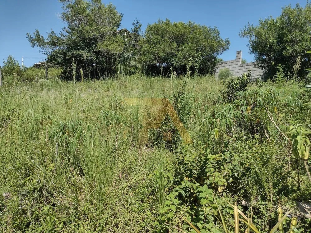 Terreno, 318 m² - Foto 6