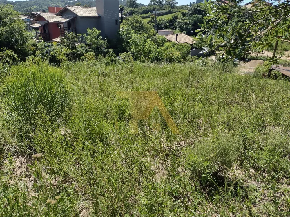 Terreno, 318 m² - Foto 7