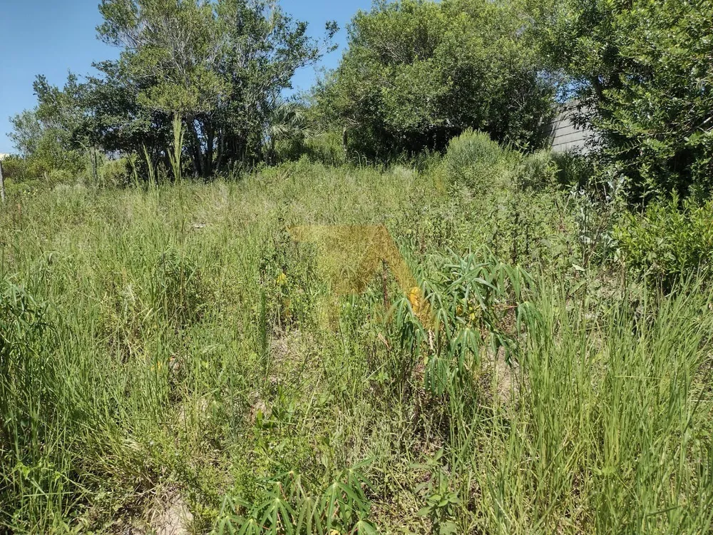 Terreno, 318 m² - Foto 5