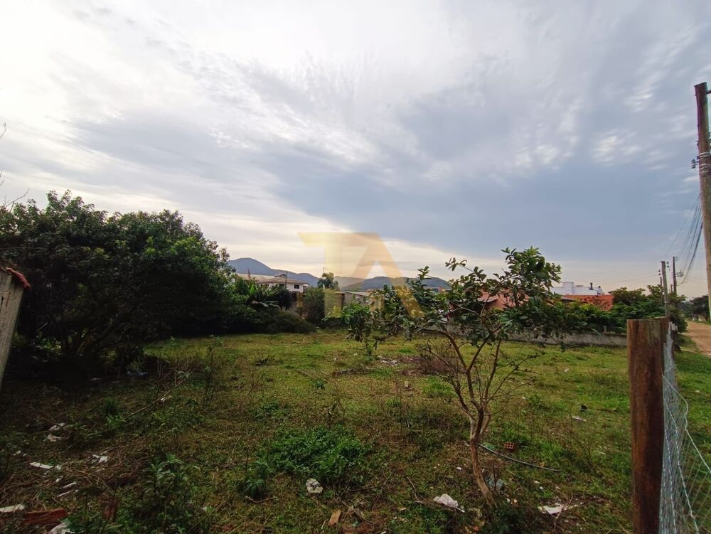 Terreno, 607 m² - Foto 6