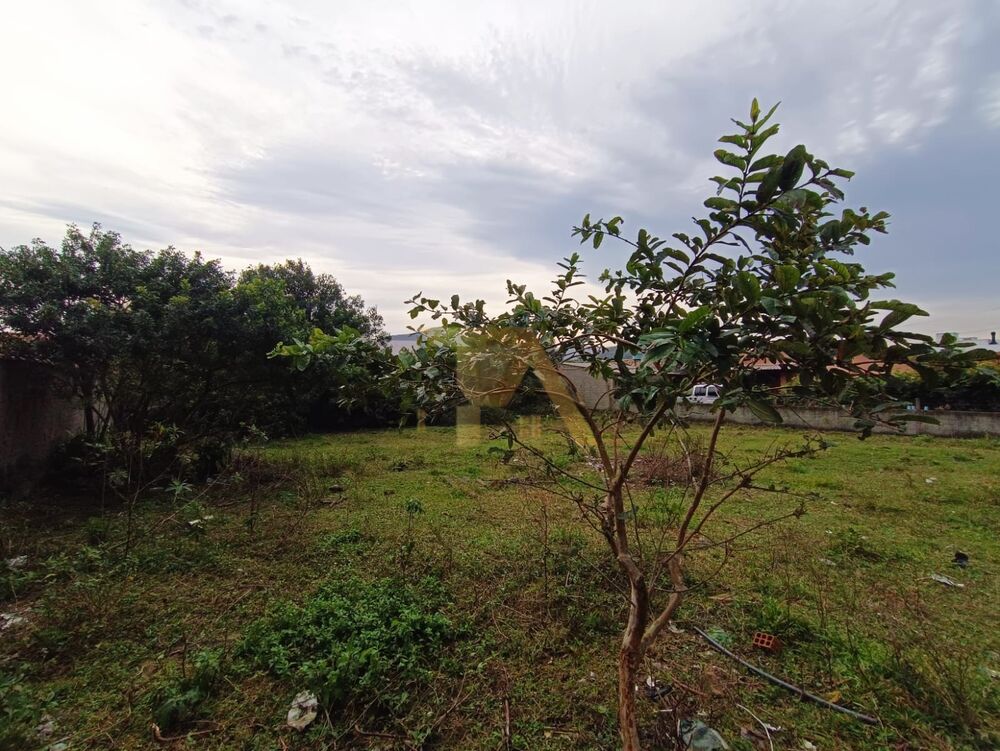 Terreno, 607 m² - Foto 11