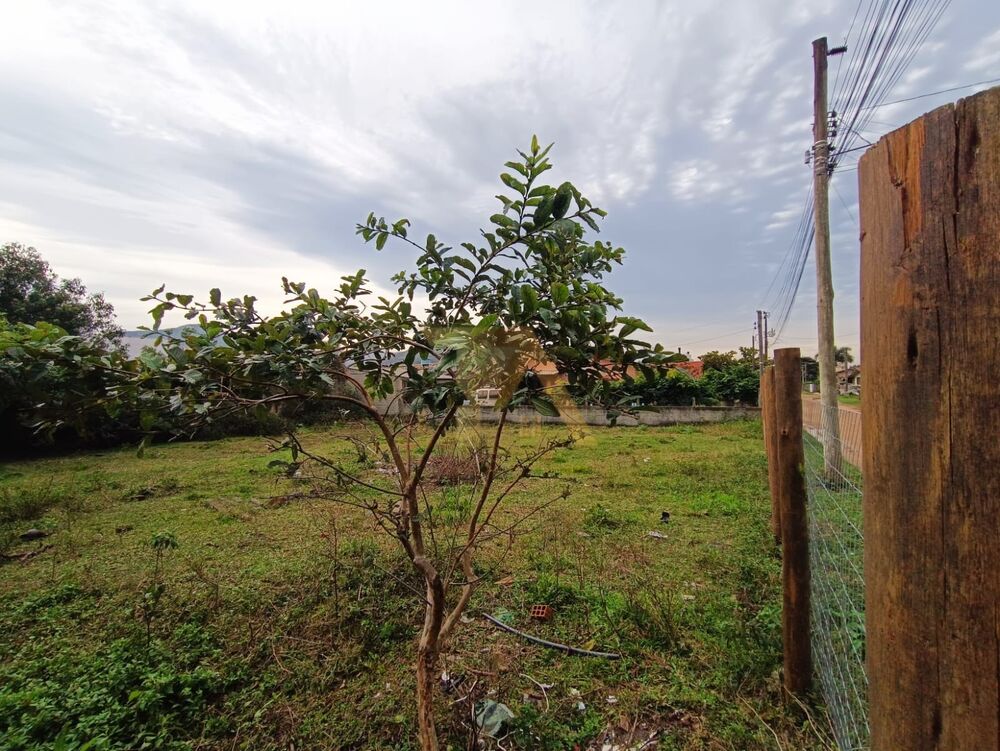 Terreno, 607 m² - Foto 7