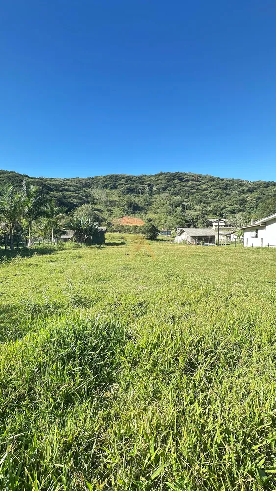 Terreno, 4919 m² - Foto 3