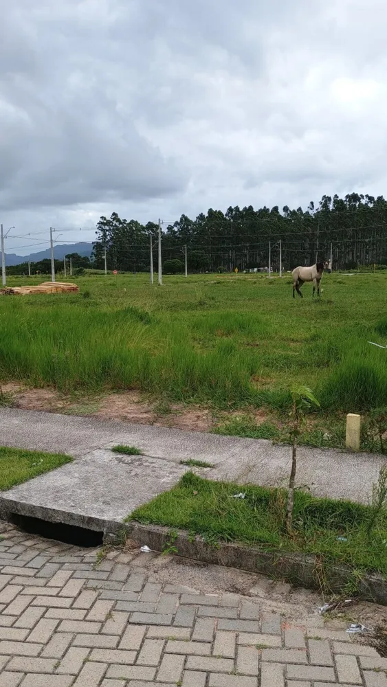 Terreno, 318 m² - Foto 7