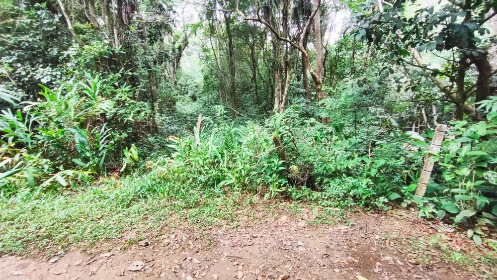 Terreno, 1 hectares - Foto 4
