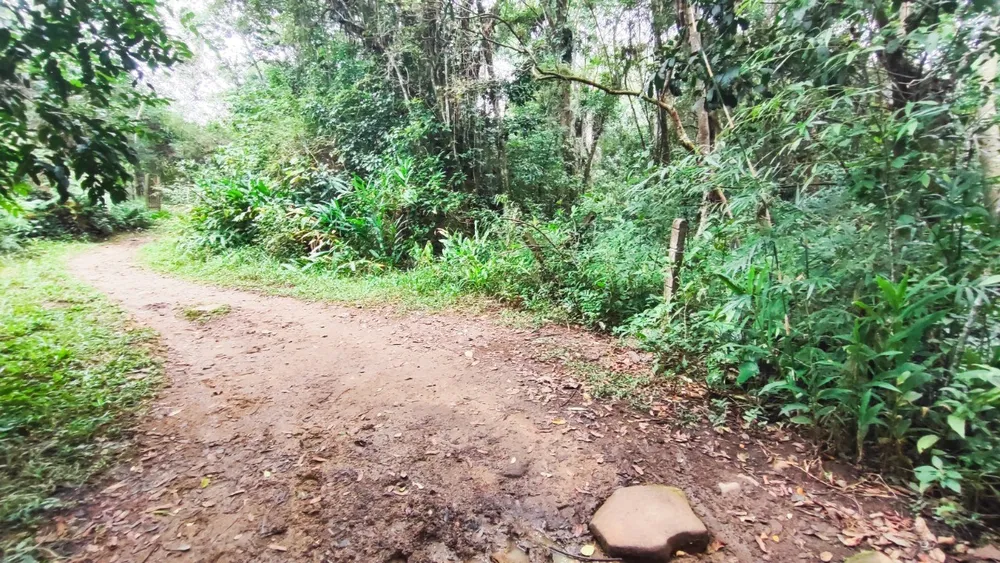 Terreno, 1 hectares - Foto 1