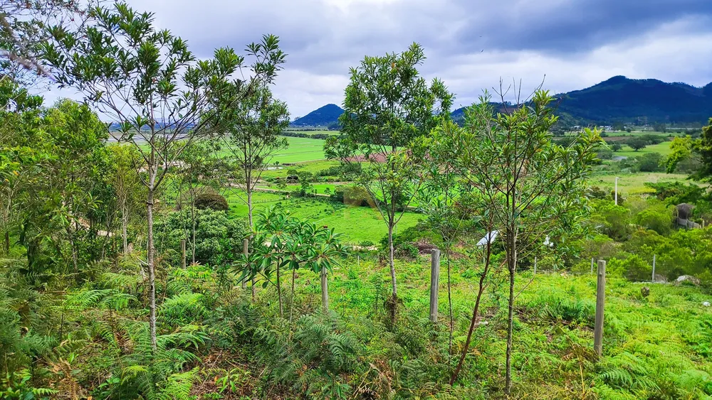 Terreno, 2170 m² - Foto 6