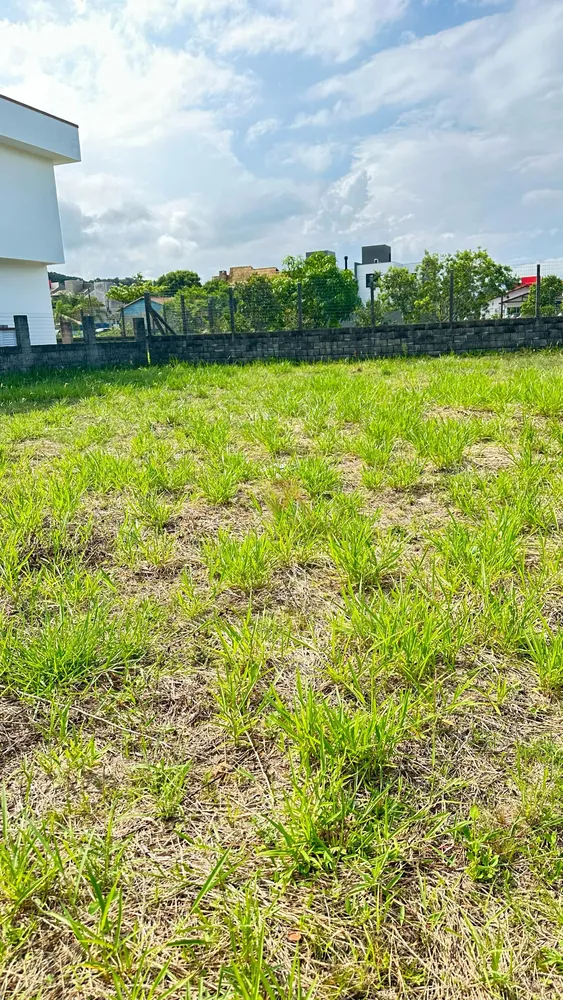 Terreno, 299 m² - Foto 5