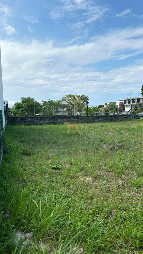 Terreno, 299 m² - Foto 2