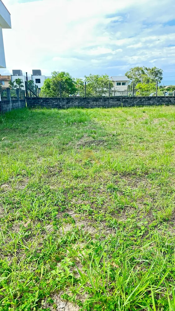 Terreno, 299 m² - Foto 6