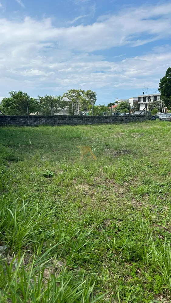 Terreno, 299 m² - Foto 3