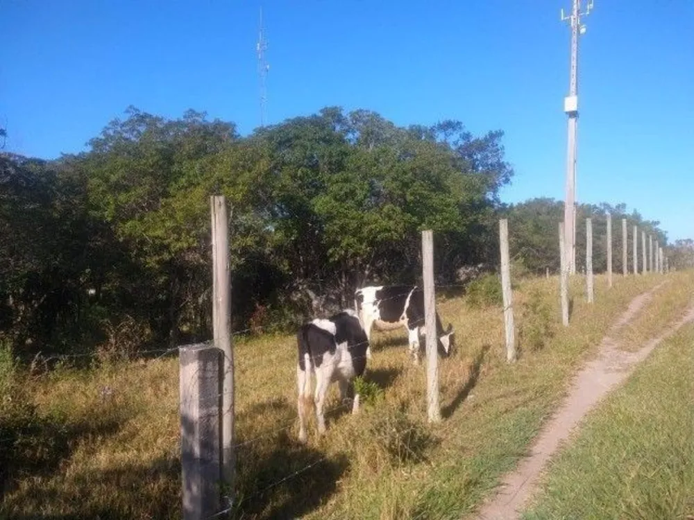 Terreno, 2040 m² - Foto 7