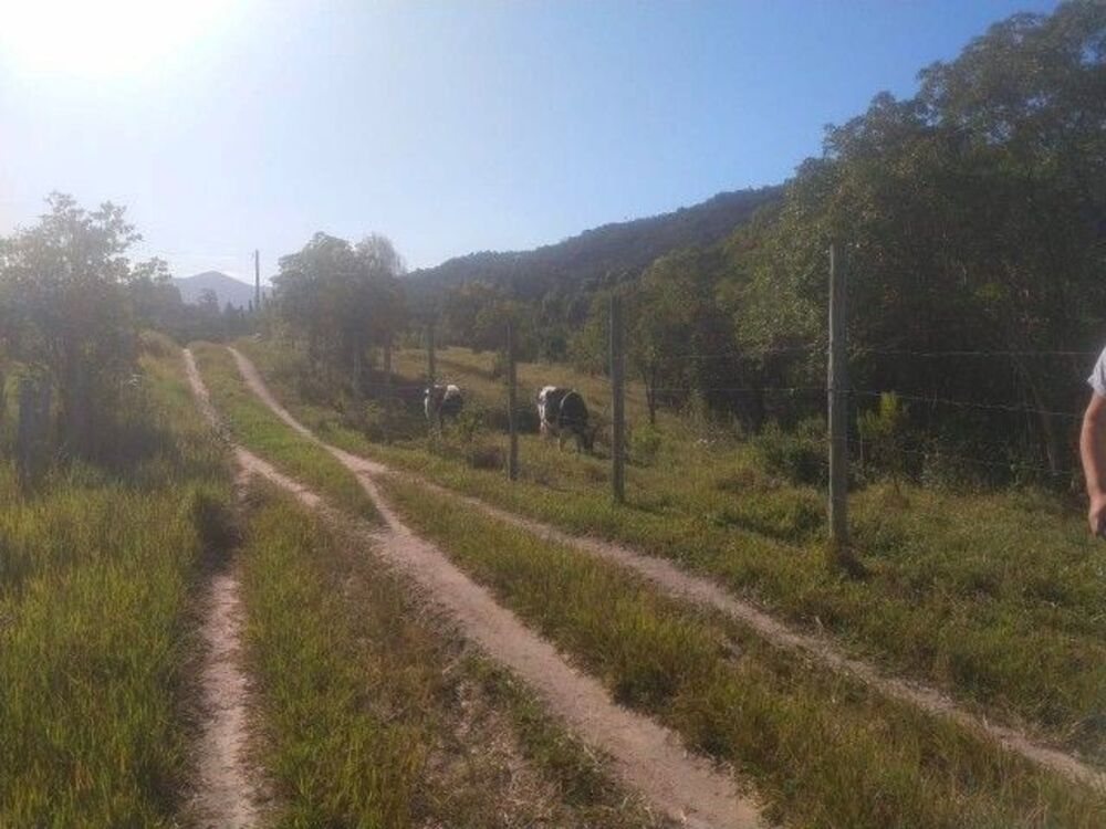Terreno, 2040 m² - Foto 4
