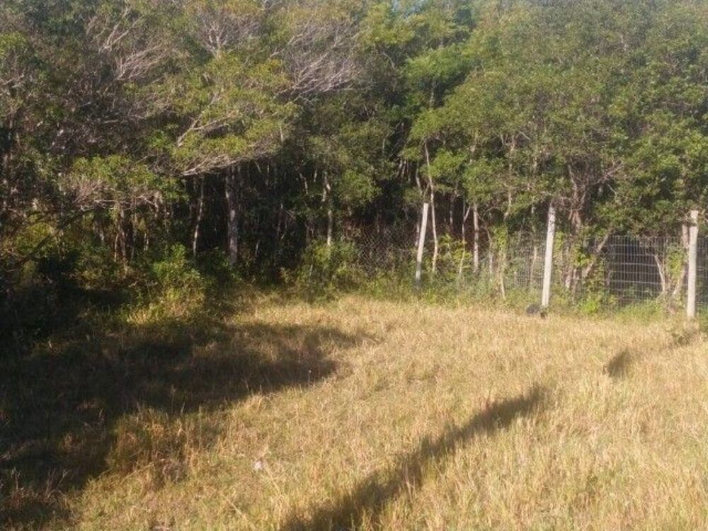 Terreno à venda com 2 quartos - Foto 2