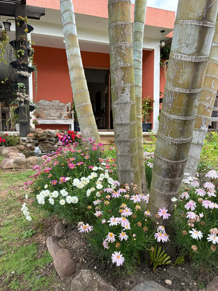 Casa, 3 quartos, 215 m² - Foto 7