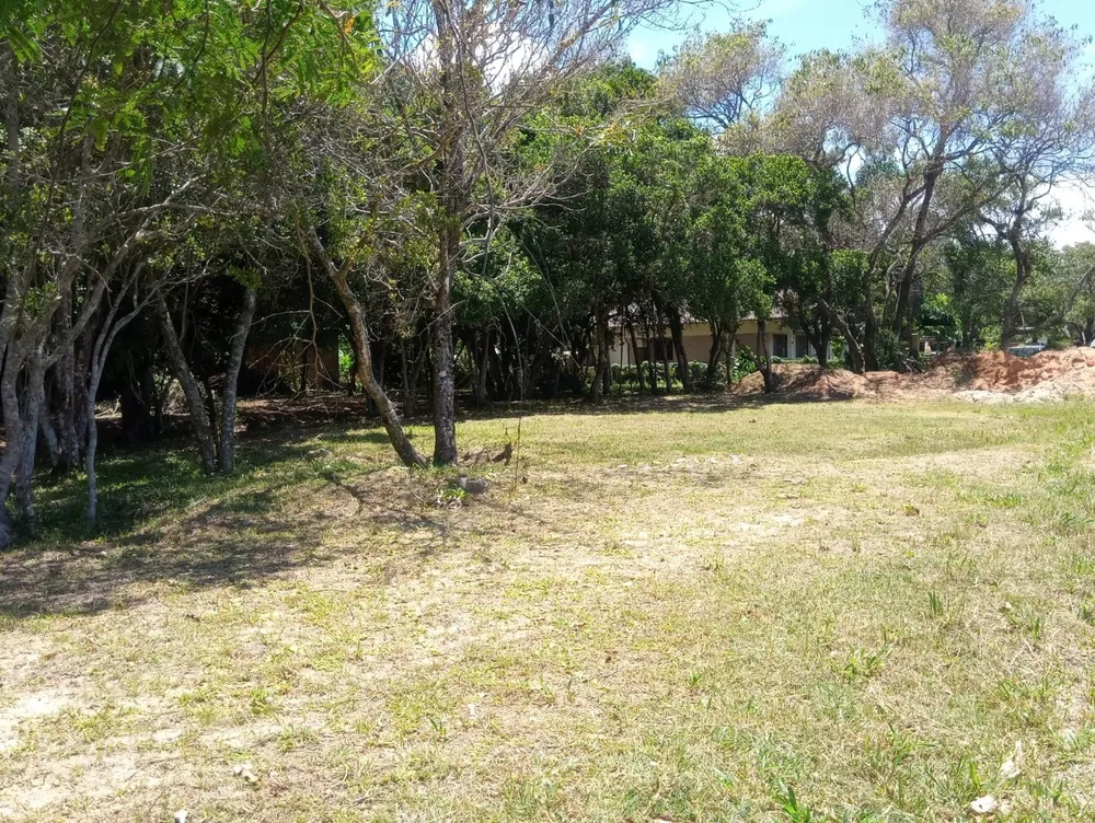 Terreno, 2609 m² - Foto 3