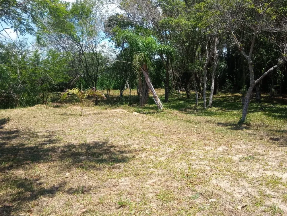 Terreno, 2609 m² - Foto 4