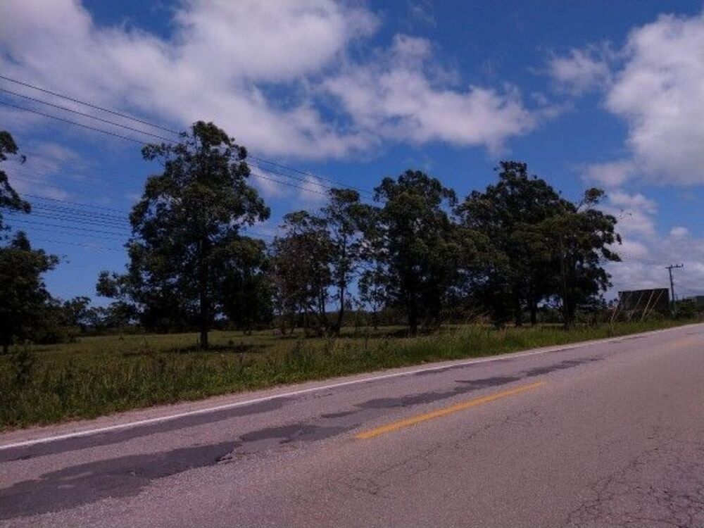 Terreno, 8 hectares - Foto 4
